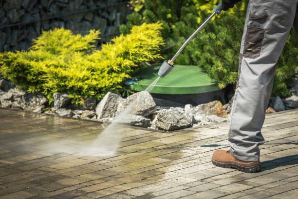 Best Playground Equipment Cleaning  in Wildwood, FL